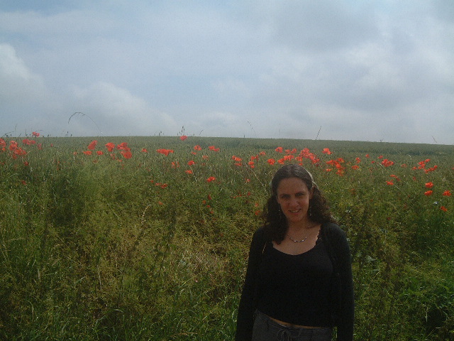 laura poppies