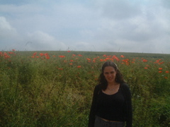 laura poppies