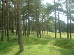 DSCF0197